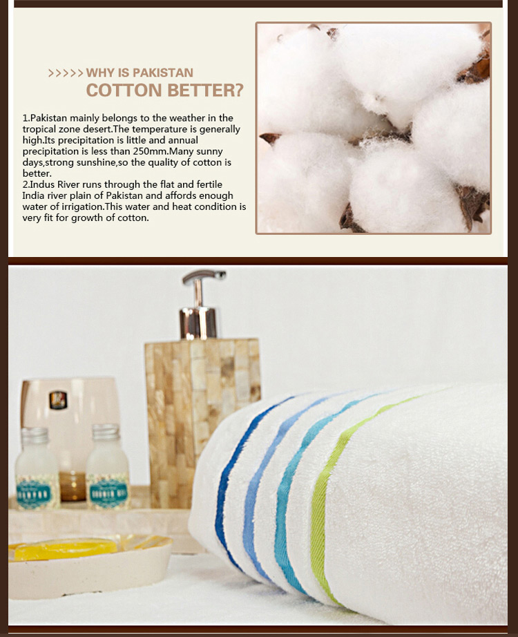 Professional Cotton Soft Towel