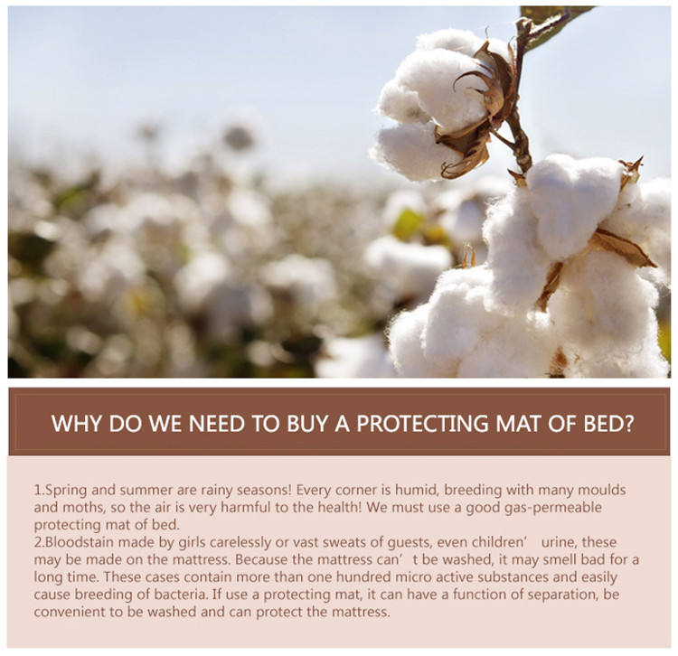 Protection with Bed Twin Mattress Protector