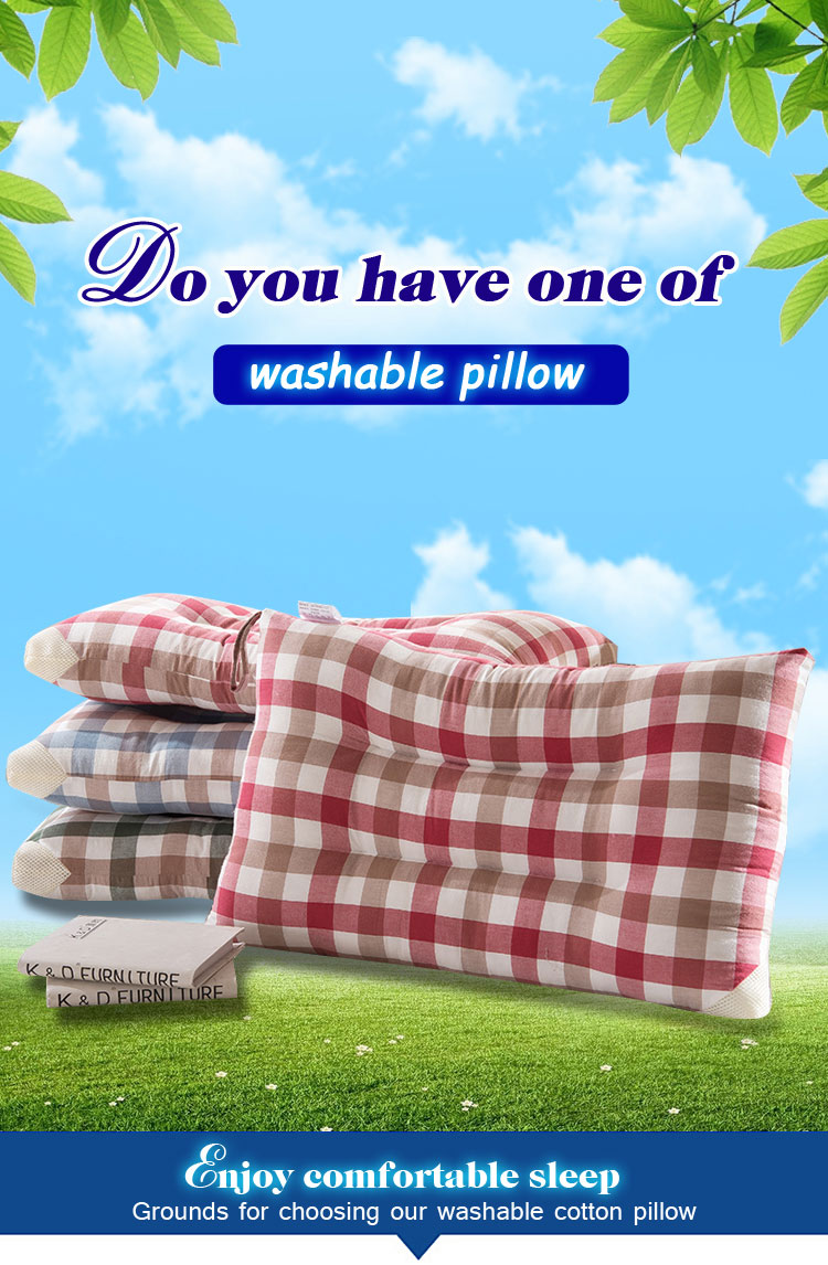 Customized 100% Cotton Designer Pillows