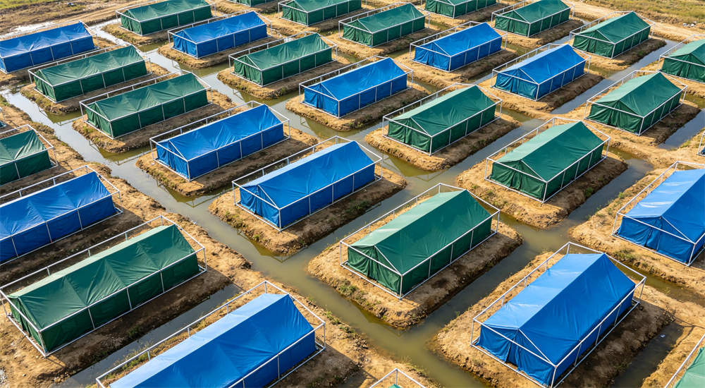 Aerial top view of outdoor relief frame tent camp drainage plan with blue green tents in organized rows and water drainage channels on grassy field